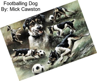 Footballing Dog By: Mick Cawston