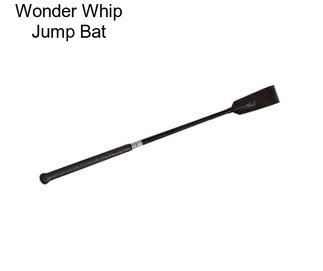 Wonder Whip Jump Bat