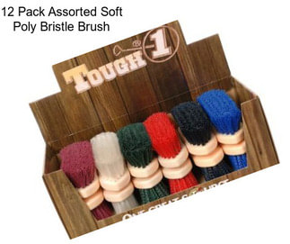 12 Pack Assorted Soft Poly Bristle Brush