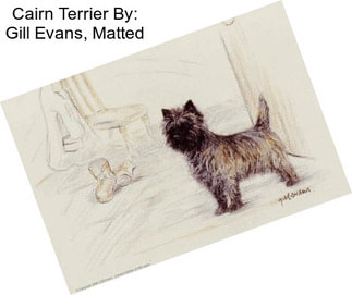 Cairn Terrier By: Gill Evans, Matted