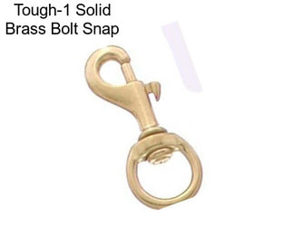 Tough-1 Solid Brass Bolt Snap