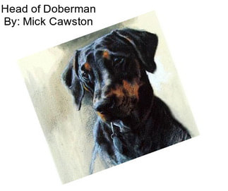 Head of Doberman By: Mick Cawston