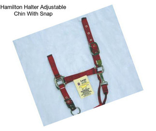 Hamilton Halter Adjustable Chin With Snap