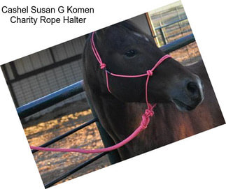 Cashel Susan G Komen Charity Rope Halter