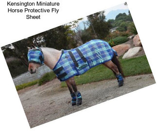 Kensington Miniature Horse Protective Fly Sheet