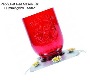 Perky Pet Red Mason Jar Hummingbird Feeder