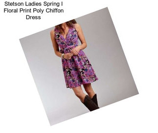 Stetson Ladies Spring I Floral Print Poly Chiffon Dress