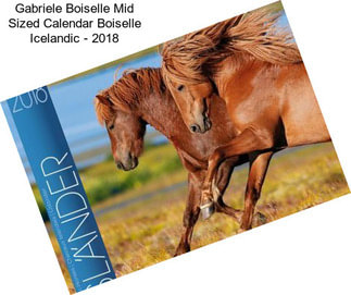 Gabriele Boiselle Mid Sized Calendar Boiselle Icelandic - 2018