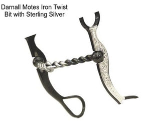Darnall Motes Iron Twist Bit with Sterling Silver