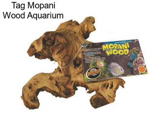 Tag Mopani Wood Aquarium