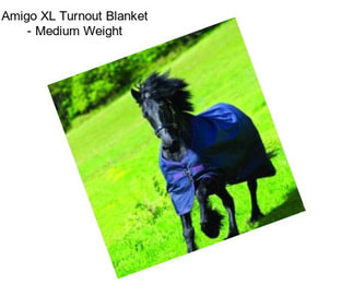 Amigo XL Turnout Blanket - Medium Weight