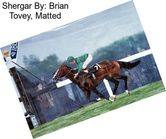 Shergar By: Brian Tovey, Matted