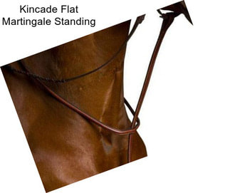 Kincade Flat Martingale Standing