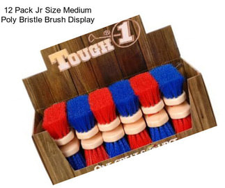 12 Pack Jr Size Medium Poly Bristle Brush Display