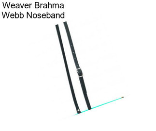 Weaver Brahma Webb Noseband