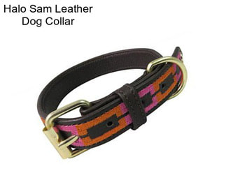 Halo Sam Leather Dog Collar
