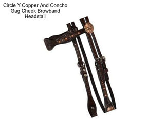 Circle Y Copper And Concho Gag Cheek Browband Headstall