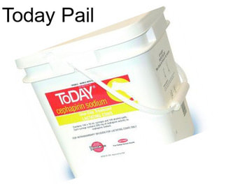 Today Pail