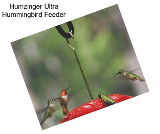 Humzinger Ultra Hummingbird Feeder