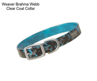 Weaver Brahma Webb Clear Coat Collar