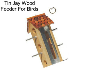 Tin Jay Wood Feeder For Birds