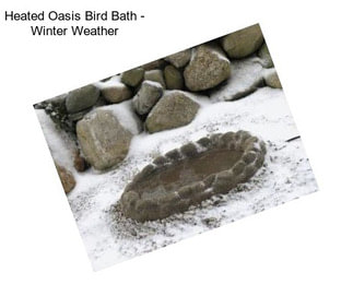 Heated Oasis Bird Bath - Winter Weather