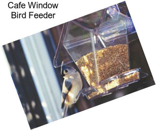 Cafe Window Bird Feeder