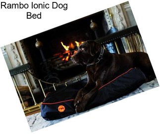 Rambo Ionic Dog Bed