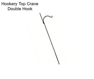 Hookery Top Crane Double Hook