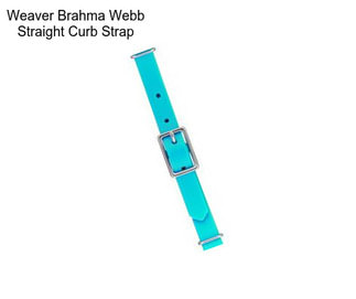 Weaver Brahma Webb Straight Curb Strap