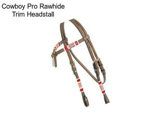 Cowboy Pro Rawhide Trim Headstall