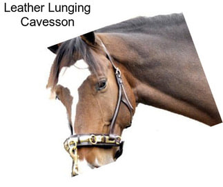Leather Lunging Cavesson
