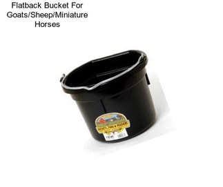 Flatback Bucket For Goats/Sheep/Miniature Horses