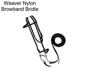 Weaver Nylon Browband Bridle