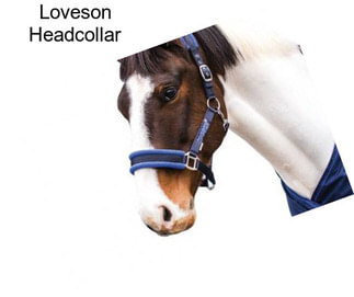 Loveson Headcollar