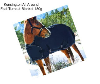 Kensington All Around Foal Turnout Blanket 180g