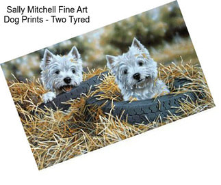 Sally Mitchell Fine Art Dog Prints - Two Tyred