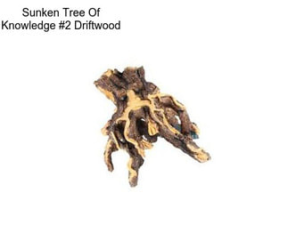 Sunken Tree Of Knowledge #2 Driftwood