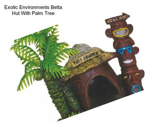 Exotic Environments Betta Hut With Palm Tree