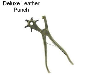 Deluxe Leather Punch