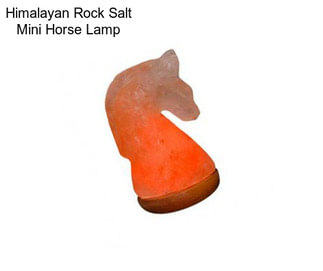 Himalayan Rock Salt Mini Horse Lamp