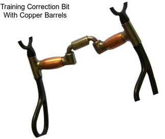 Training Correction Bit With Copper Barrels