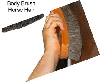 Body Brush Horse Hair