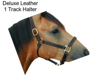Deluxe Leather 1 Track Halter