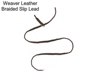 Weaver Leather Braided Slip Lead