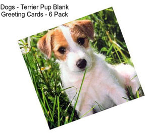 Dogs - Terrier Pup Blank Greeting Cards - 6 Pack