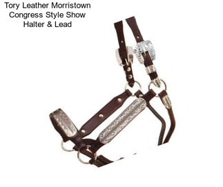 Tory Leather Morristown Congress Style Show Halter & Lead