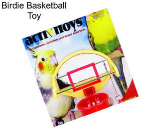 Birdie Basketball Toy