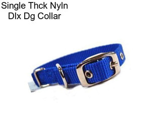 Single Thck Nyln Dlx Dg Collar