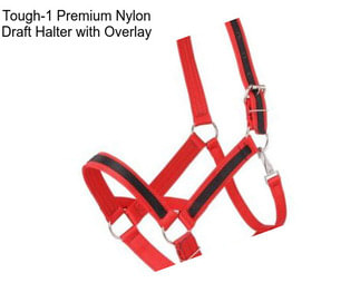 Tough-1 Premium Nylon Draft Halter with Overlay